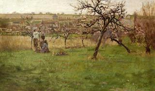 Apple Trees in Bloom