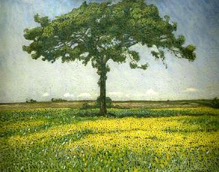 Young Oak
