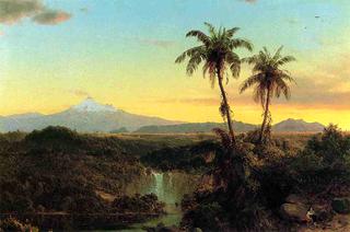 South American Landscape