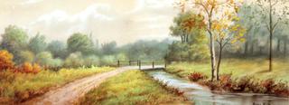 A Pleasant County Road
