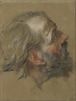 Head of an Old Man