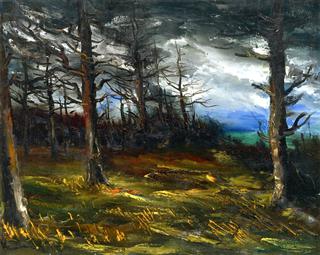 Edge of the Forest