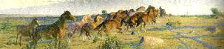 Horses