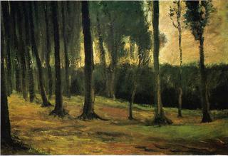Forest-edge