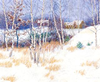 Stand of Birch Trees in Winter