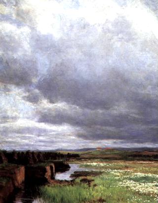 Torvmyr