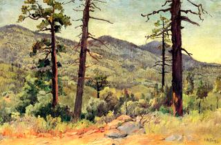 Cuyamaca Mountain from Gilmore Point