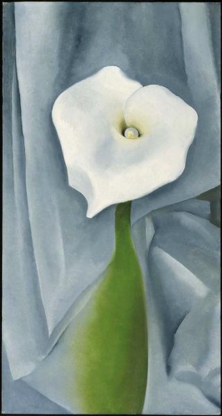 Calla Lily on Grey