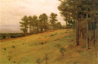 Hillside Pines