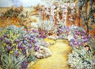 A Garden