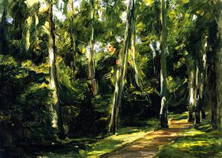 The Birch Avenue in the Wannsee Garden toward the Southwest