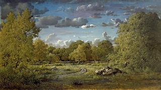 Glade of the Reine Blanche in the Fontainebleau Forest