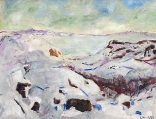 Snow Landscape from Kragero