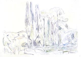 Grove of Trees near San Francesco di Paola