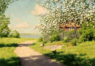 Hens in summer landscape