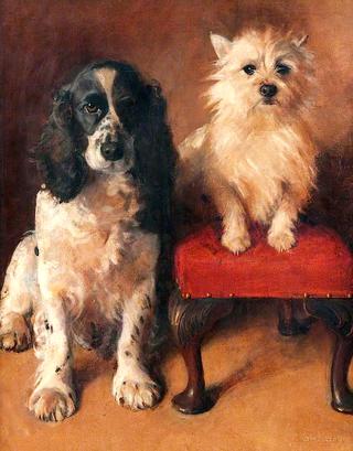 Spaniel and Terrier