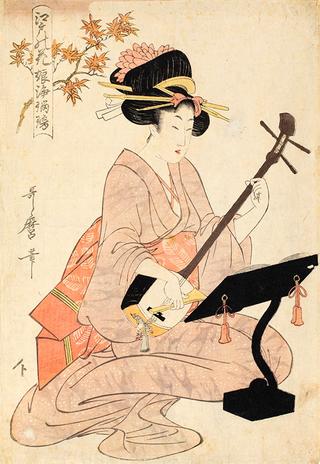 The musician plays a shamisen