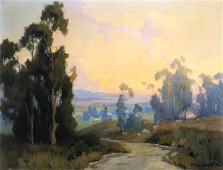 Eucalyptus Trees