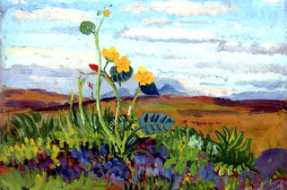 Ranunculus