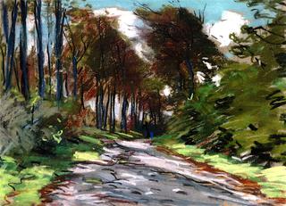 Sunken Path, the Effect of Light