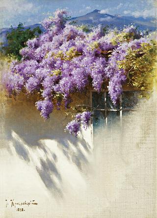 Wisteria in Bloom