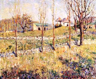 Spring Hillside