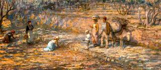 Among the Olives