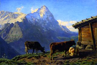 Mountain Landscape with Cows