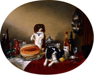 The Pets and the Materials