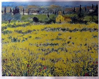 Bushes near Sienna