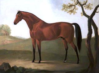 A Chestnut Hunter