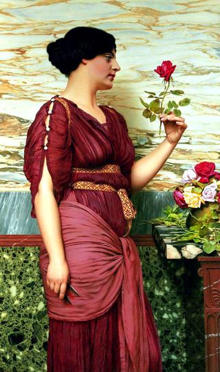 A Red Rose