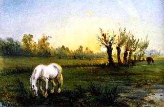 White Horse in a Meadow