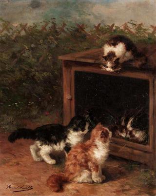 naughty kittens