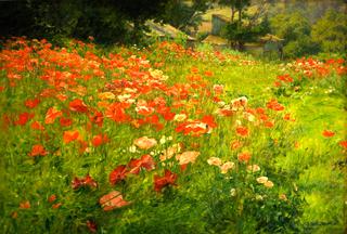 In Poppyland