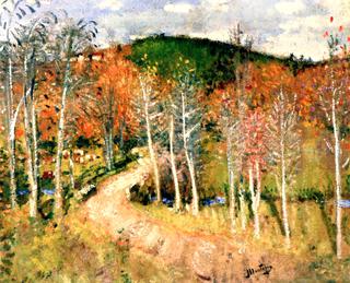 Landscape
