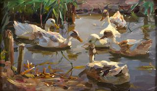 The Duck Pond