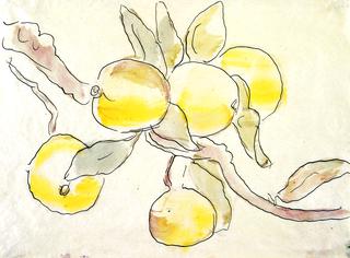 Branch with Apples