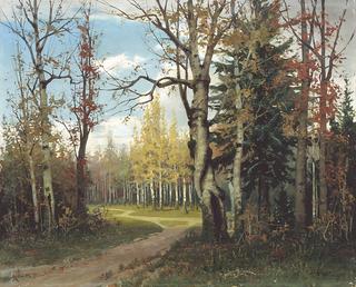 A Forest Road