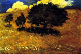Trees in the Sun