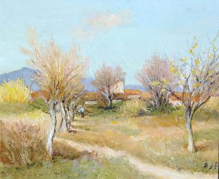 An orchard in spring