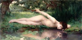 Narcissus