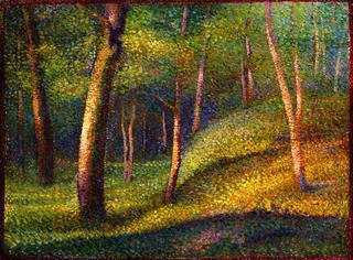In the Woods