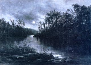 Moonlight on the Everglades