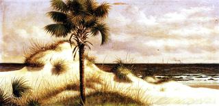 Sand Dunes, Palmetto (Sabal) and Steamboat