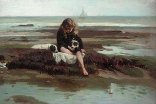 Limpets