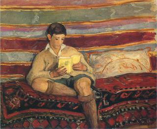 Young boy reading