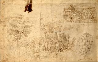 Three Landscape Studies