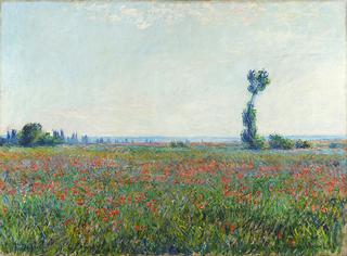 Poppy Field
