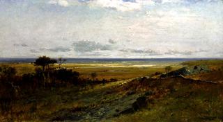 Near the Ocean